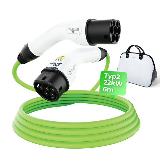 Rheidon Tech Cable de cargador 22kW